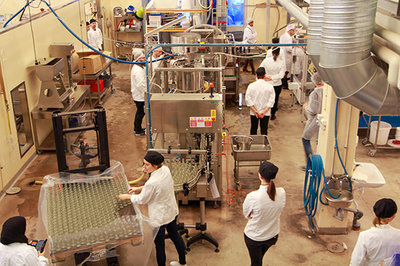 En dag med gastronomistudenter på Balsgårds testbädd för innovativa drycker.