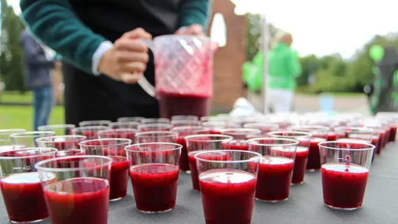 Krinova bj&ouml;d p&aring; &rdquo;brainfood&rdquo; i form av smoothie.