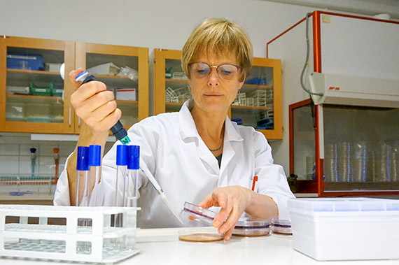 Mikrobiolog Stina-Mina Ehn Börjesson på sin hemmaplan, i labbet längst upp i hus 20 på Högskolan Kristianstad. På fredag åker hon dock till Göteborg för att försvara sin avhandling om hur bakterier sprids från människa till djur.