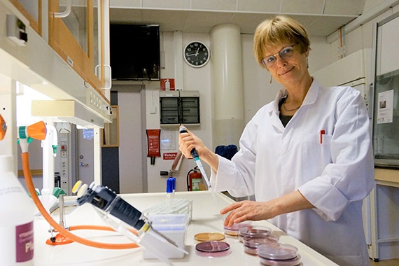Stina-Mina Ehn Börjesson avlägger medicine doktorsexamen vid Sahlgrenska akademin i Göteborg fredagen den 7 februari 2020, klockan 13.00. Avhandlingens titel är Perspectives on urban wastewater as a source of microbial pollution.
