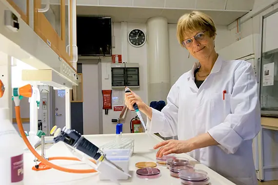 Stina-Mina Ehn B&ouml;rjesson avl&auml;gger medicine doktorsexamen vid Sahlgrenska akademin i G&ouml;teborg fredagen den 7 februari 2020, klockan 13.00. Avhandlingens titel &auml;r Perspectives on urban wastewater as a source of microbial pollution.