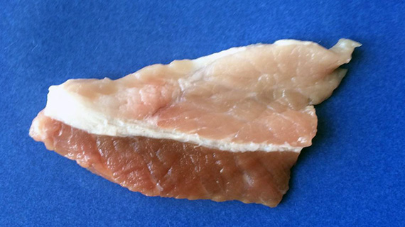 Köttbit