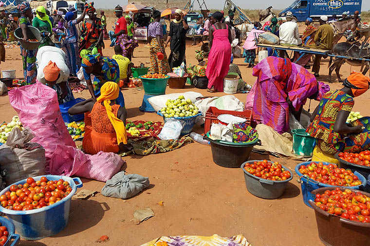 Tomater i solen på marknad i Gambia.
