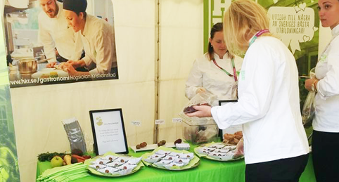Matfestival i Brösarp