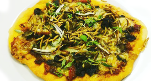 Insektspizza