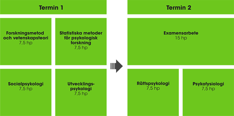 Schematisk bild över kurserna som ingår i utbildningen. 