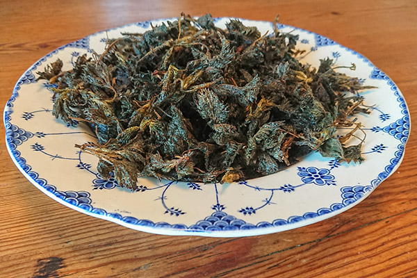 Nässelchips i tallrik.