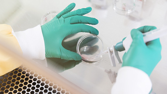 Biomedicinsk analytiker.