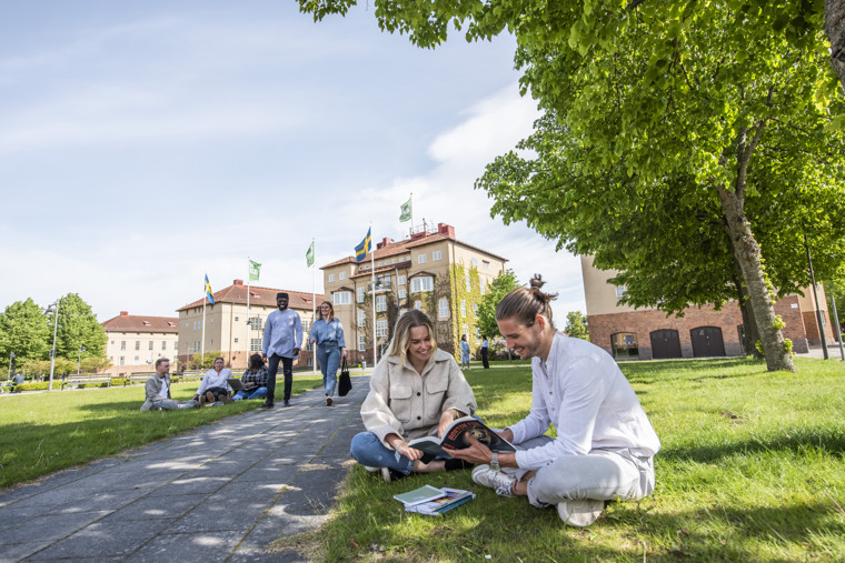 Studenter på högskolans campus.