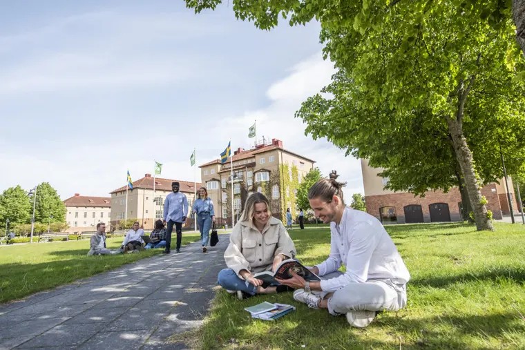 Studenter på högskolans campus.