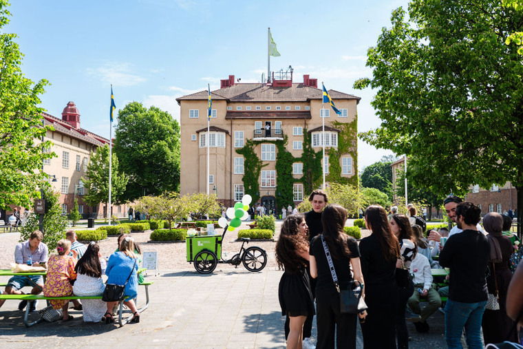 Studenter i samtal på ett soligt campus.