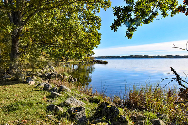 Skärva naturreservat.