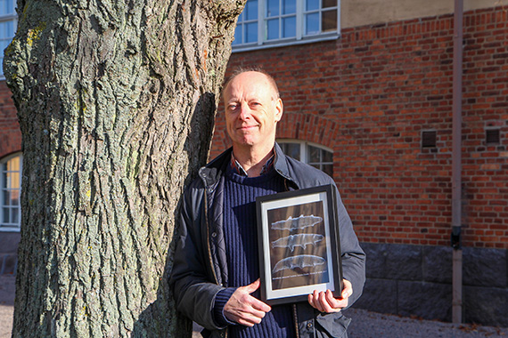 Professor Ingemar Jönsson med den tavla med foton på Mesobiotus joenssoni han fick av sina italienska forskarkollegor som namngett den nya arten efter honom.