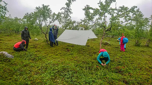 Fjällvandrare spänner upp tarp som regnskydd.