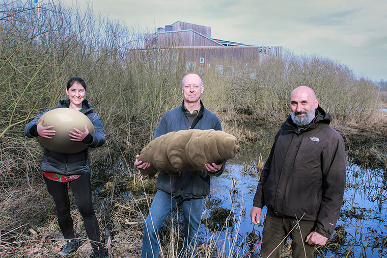 Från vänster: Sarah Atherton från Naturhistoriska Riksmuseet med ett förmodat björndjursägg, Ingemar Jönsson från Högskolan Kristianstad med jättebjörndjuret, och Roberto Guidetti från University of Modena & Reggio Emilia. Tillsammans undersöker de biosfärområdet genom forskningsprojektet Sjöodjur i Vattenriket.