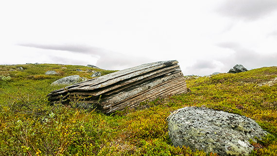 Metamorfa bergarten fyllit, en måttligt omvandlad lerskiffer. Fjällkedjan består av flera stora sjok av berggrund och skollor, som skjutits upp på varandra från väster för 500–400 miljoner år sedan när Europa krockade med Nordamerika. Lerskiffern bildades i havet som fanns mellan kontinenterna innan krocken och sköts sedan upp och omvandlades när fjällkedjan bildades. Foto: Dan Postolachi