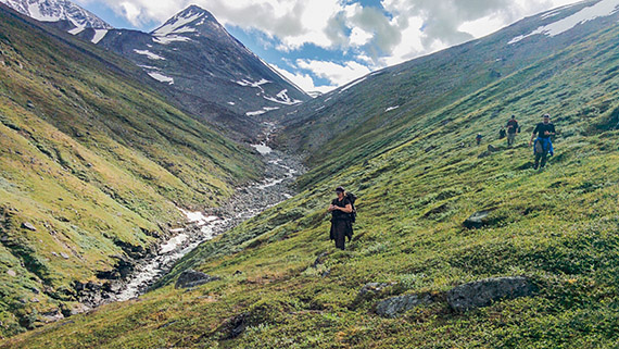 Efter att ha forcerat sig genom tät fjällbjörkskog väntar den mellanalpina vegetationszonen innan kalfjället tar över helt på vägen mot Hambergs glaciär. Foto: Johanna Grönroos