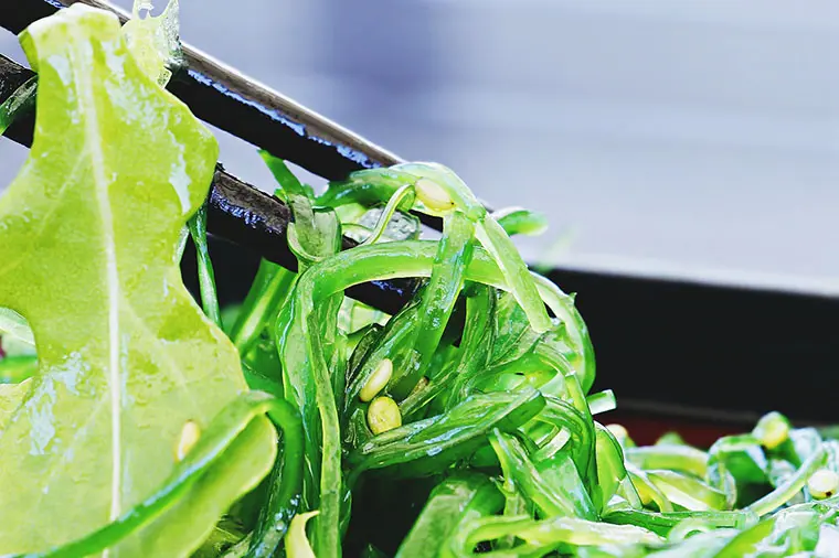 Wakame forskningsprojekt