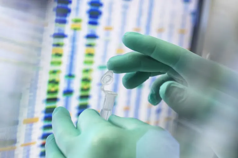 Biomedicinska analytikerprogrammet.