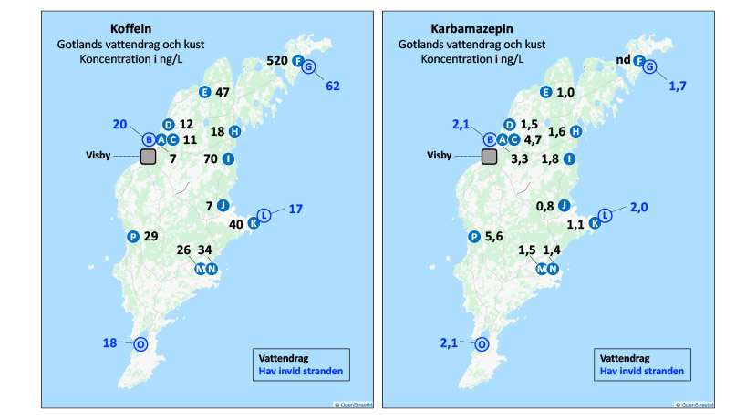 Förekomst av koffein och karbamazepin i Gotlands vattendrag och hav i provpunkterna A-P. Svarta siffror indikerar prover tagna i vattendrag. Blåa siffror indikerar prover tagna i Östersjön från stranden.