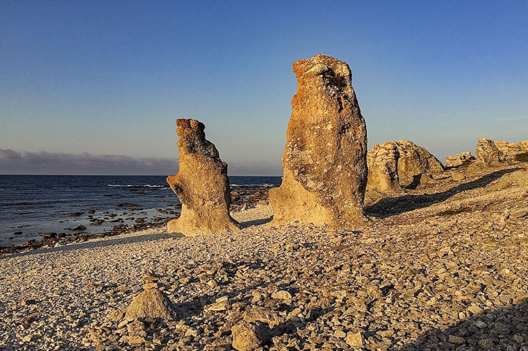 Raukar på Gotland. Foto: Erland Björklund