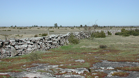 Alvaret