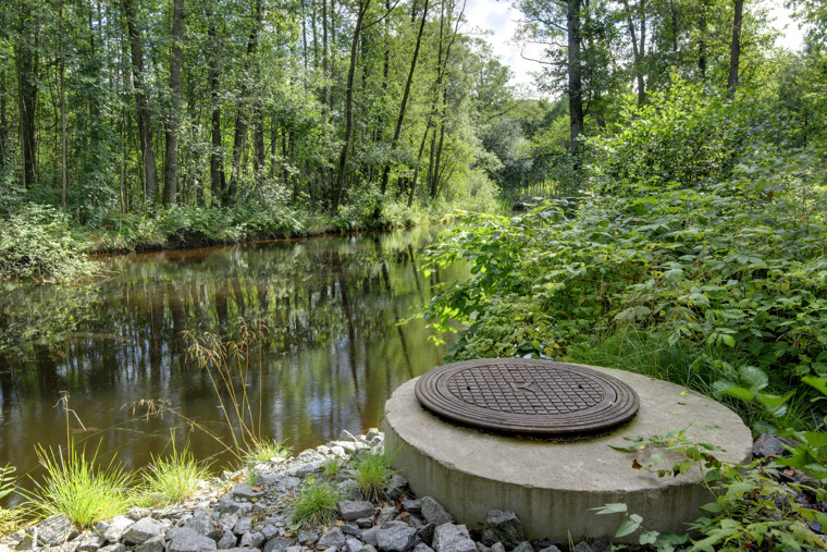 Naturbild.