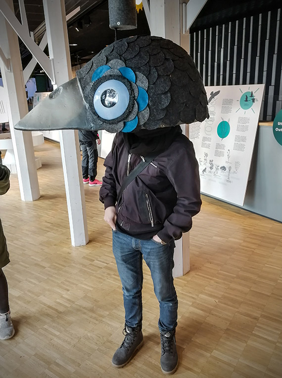 Inne på Naturum Falsterbo passar studenten Filip Rönn på att utforska hur fåglars syn fungerar.