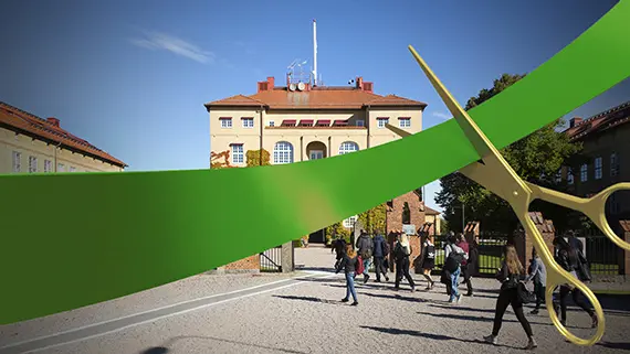 Torginvigning. Torginvigning.
