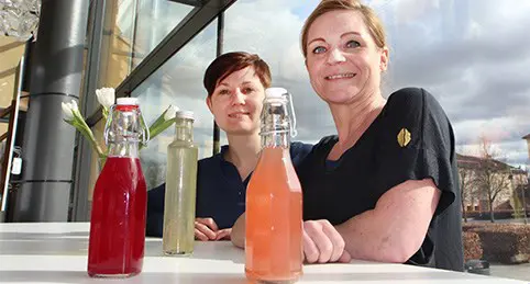 kombucha