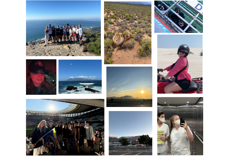 Collage från Theas VFU i Sydafrika