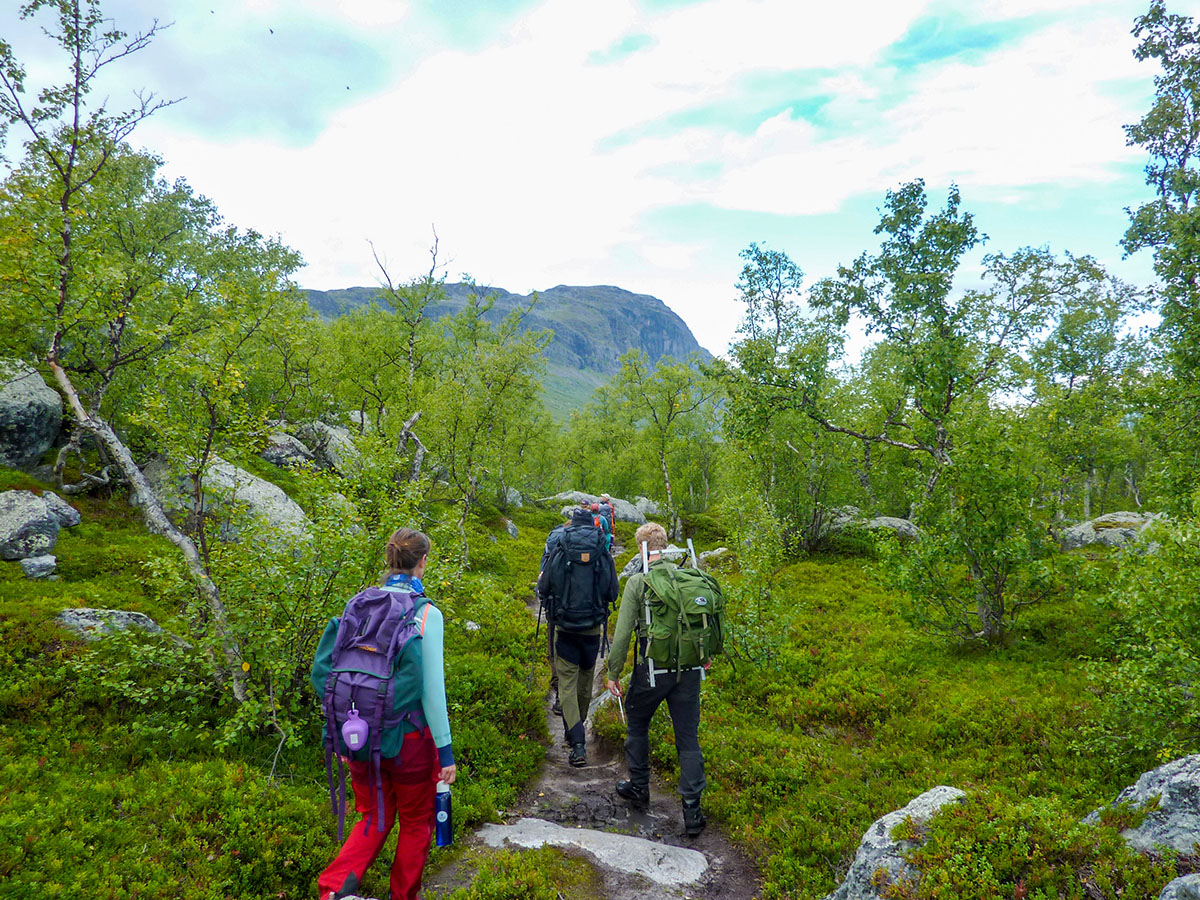 Under bestigningen av Lulep Gierkav låg fokus på den ekologiska övergången från skog till de alpina zonerna. Foto: Fabian Rimfors