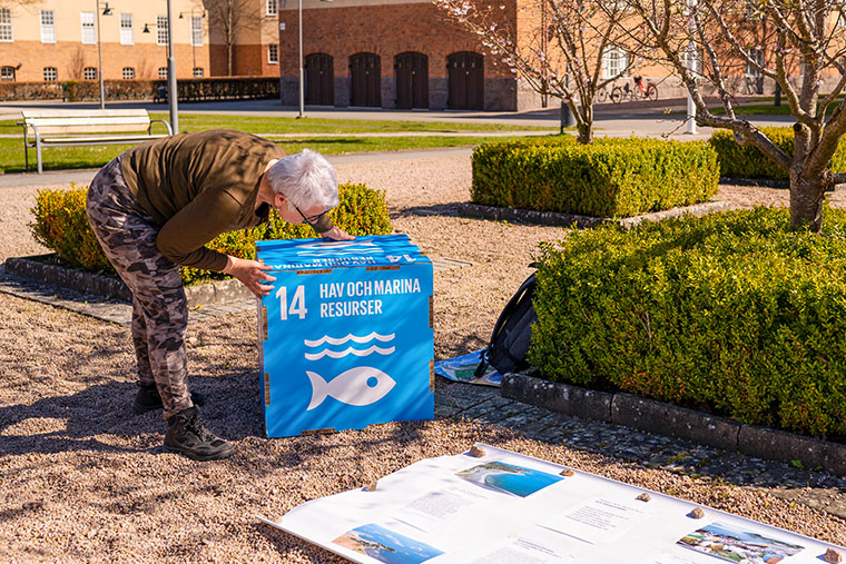 Landskapsvetarstudent förbereder sin presentation av FN:s hållbarhetsmål nummer 14 om hav och marina resurser.