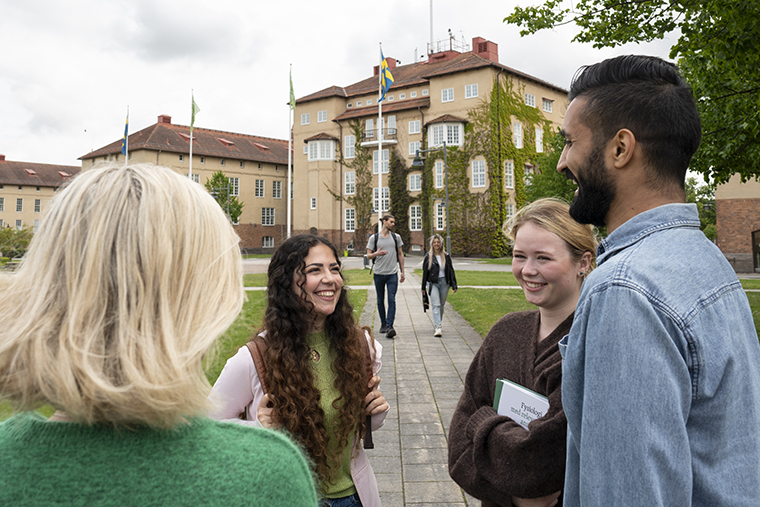 högskolan