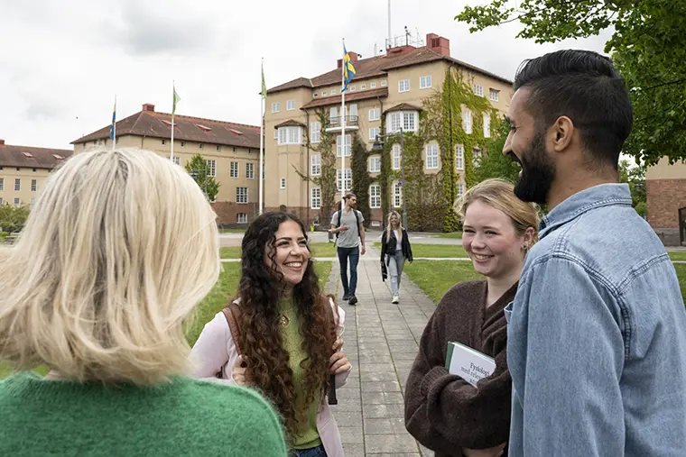 högskolan