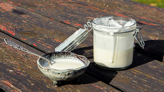 Lines yoghurt