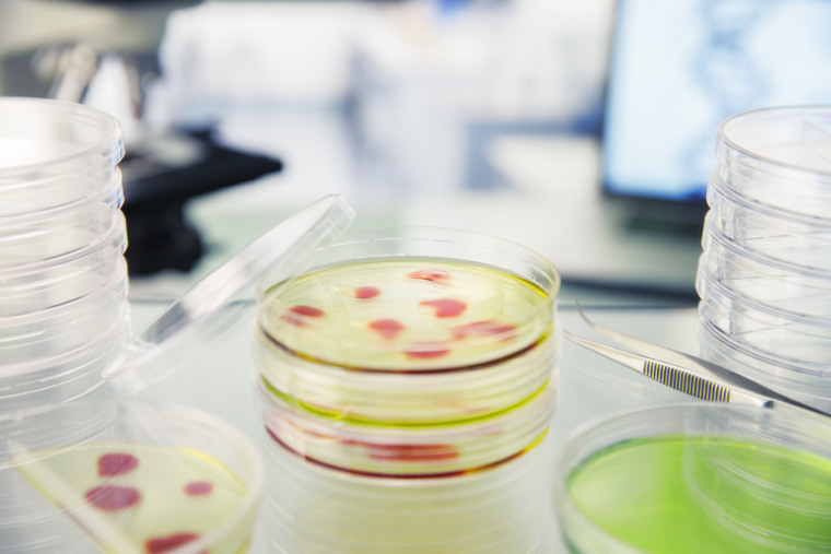 Food and meal science.