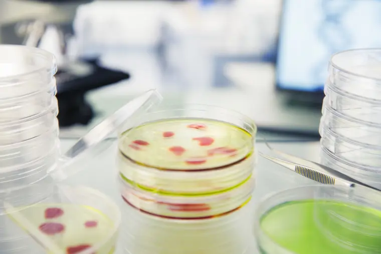 Food and meal science.