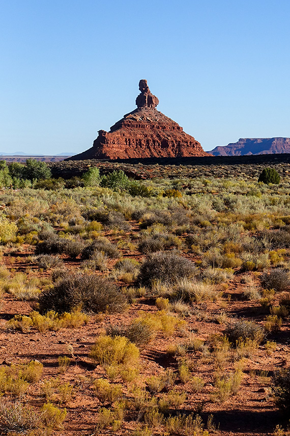 I Valley of the Gods tittar studenterna på erosion av sandsten, letar fossilt trä och bekantar sig närmare med ödlor, fågelspindlar, harar och tarantula hawk-steklar.