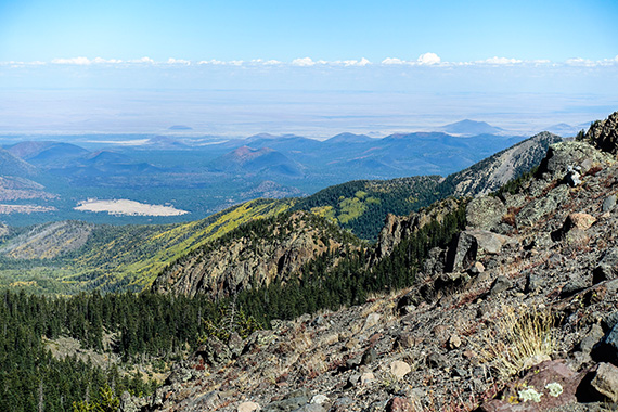 Uppifrån den alpina tundran på San Francisco Peaks med Great Basin-öknen i horisonten. Den gröna subalpina barrskogen och blandskogen med sina gula aspar syns tydligt. Foto: Magnus Thelaus