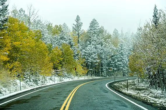 Asfaltv&auml;g genom barrblandskog och sn&ouml;.
