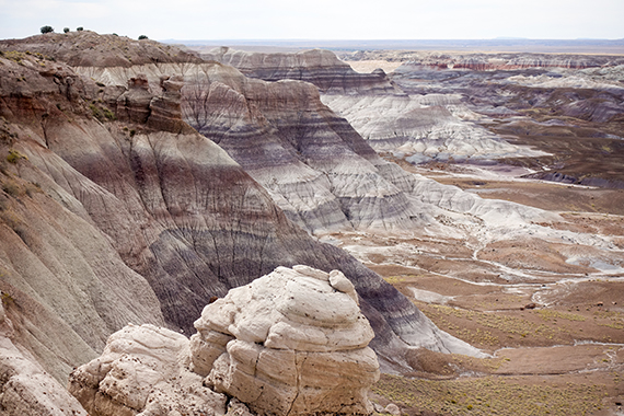 "Badland erosion" i Painted Desert, Arizona. Färgerna kommer från ren kvartssand, metalloxider och kalksten.