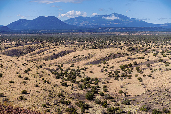 Vulkanen San Francisco Peaks, Arizona, nere från gränslandet mot Great Basin Desert. Foto: Magnus Thelaus