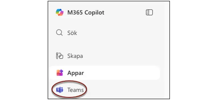 Skärmbild Appen Teams.