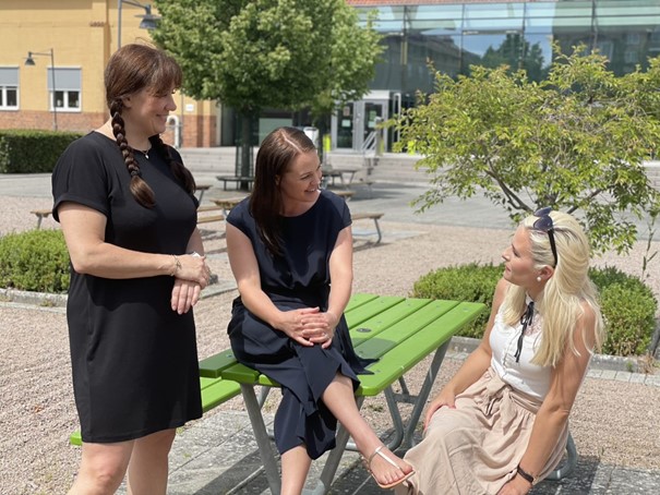 Nätverket för undervisning om jämlikhet och våld är