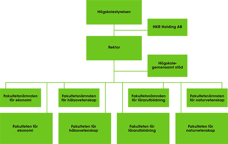 Organisationschema som visar h&ouml;gskolans organisation: H&ouml;gskolestyrelsen, H&ouml;gskolan Holding AB, Rektor, H&ouml;gskolegemensamt st&ouml;d, Fakultetsn&auml;mnder, Fakulteter.