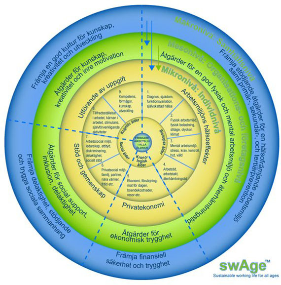 Swage-moellen.