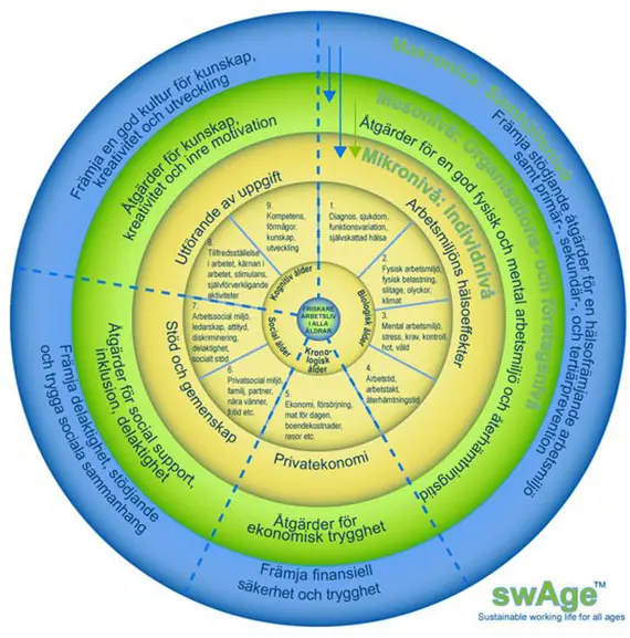 Swage-moellen.