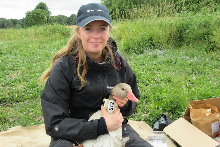 Kvinna med en gås i knät