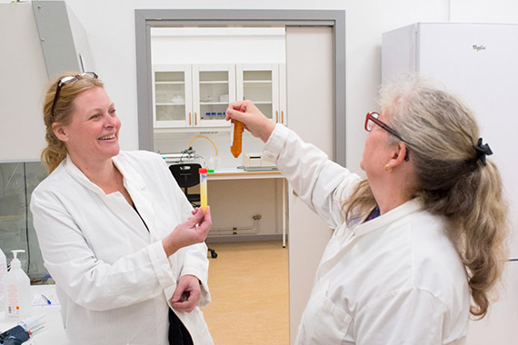 Två tredjedelar av författartrion bakom månadens publikation: Lina Axelsson, doktorand i biomedicinsk laboratorievetenskap och Ann-Sofi Rehnstam-Holm, professor i mikrobiologi.